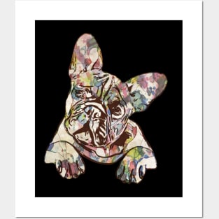 French bulldog, Frenchie 18 Posters and Art